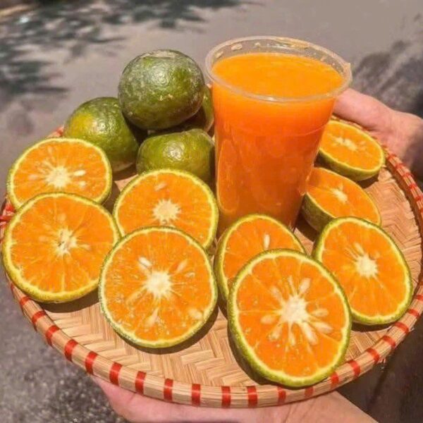nước ép cam tươi nguyên chất Fruit Station