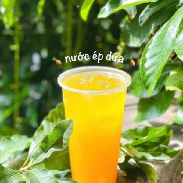 nước ép dứa tươi Fruit Station